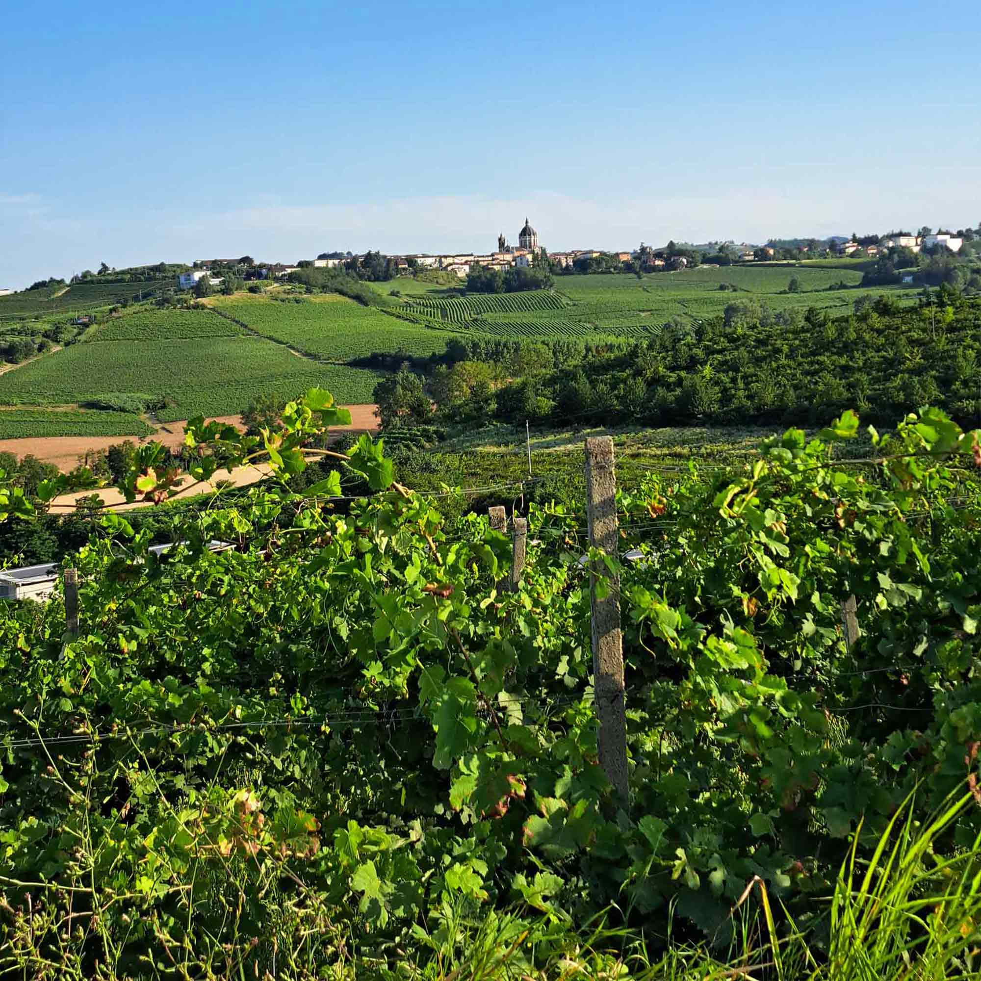 Brachetto d’Acqui e gli amaretti di Mombaruzzo