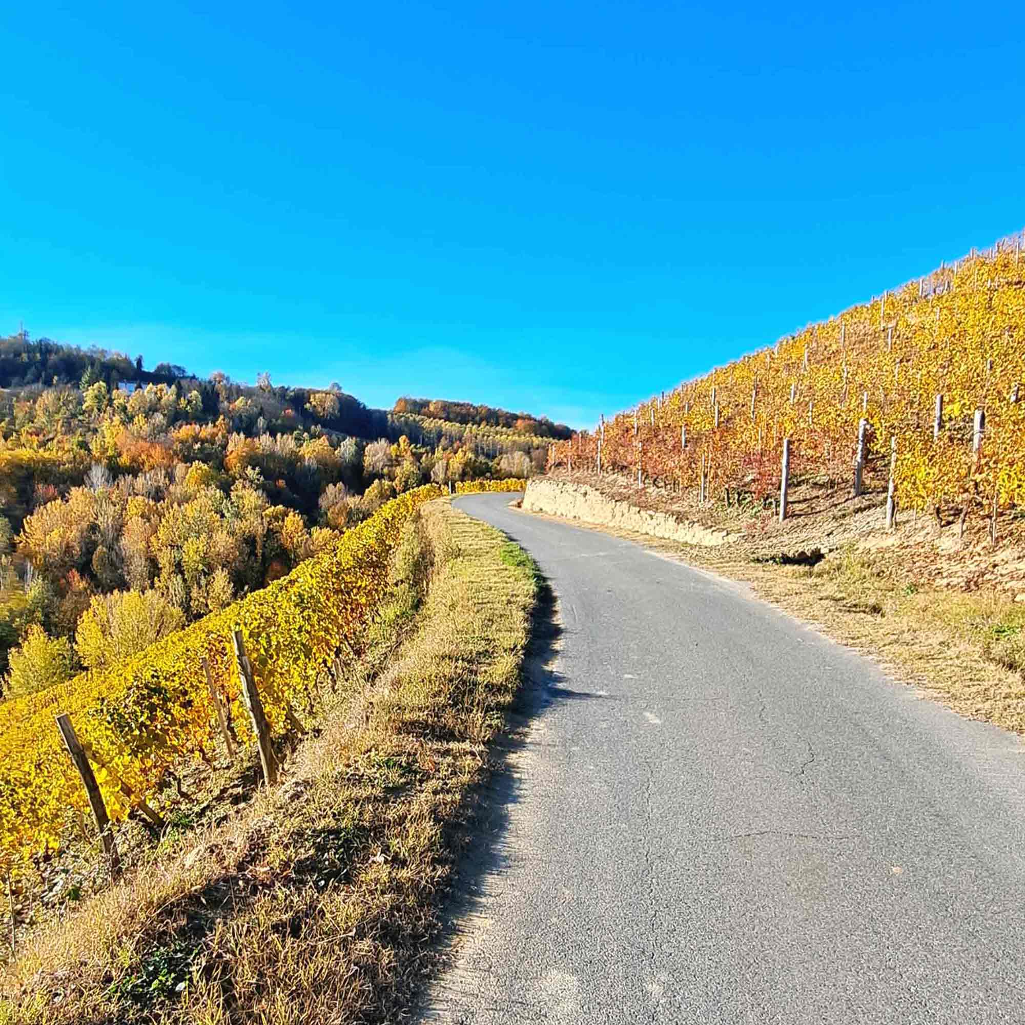 La porta delle Langhe e la Nocciola IGP