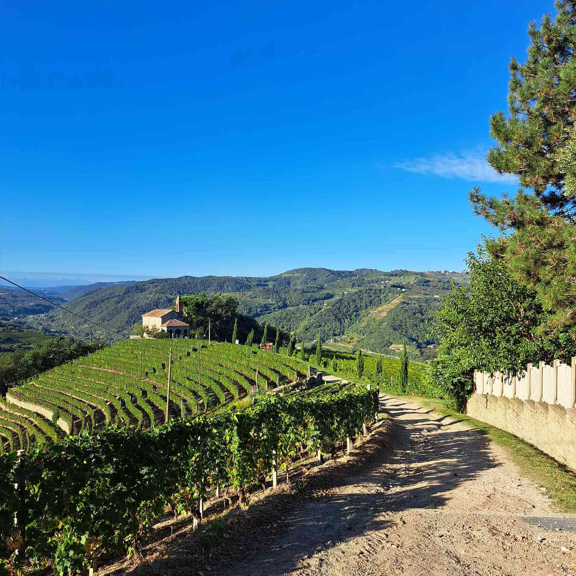 La porta delle Langhe e la Nocciola IGP