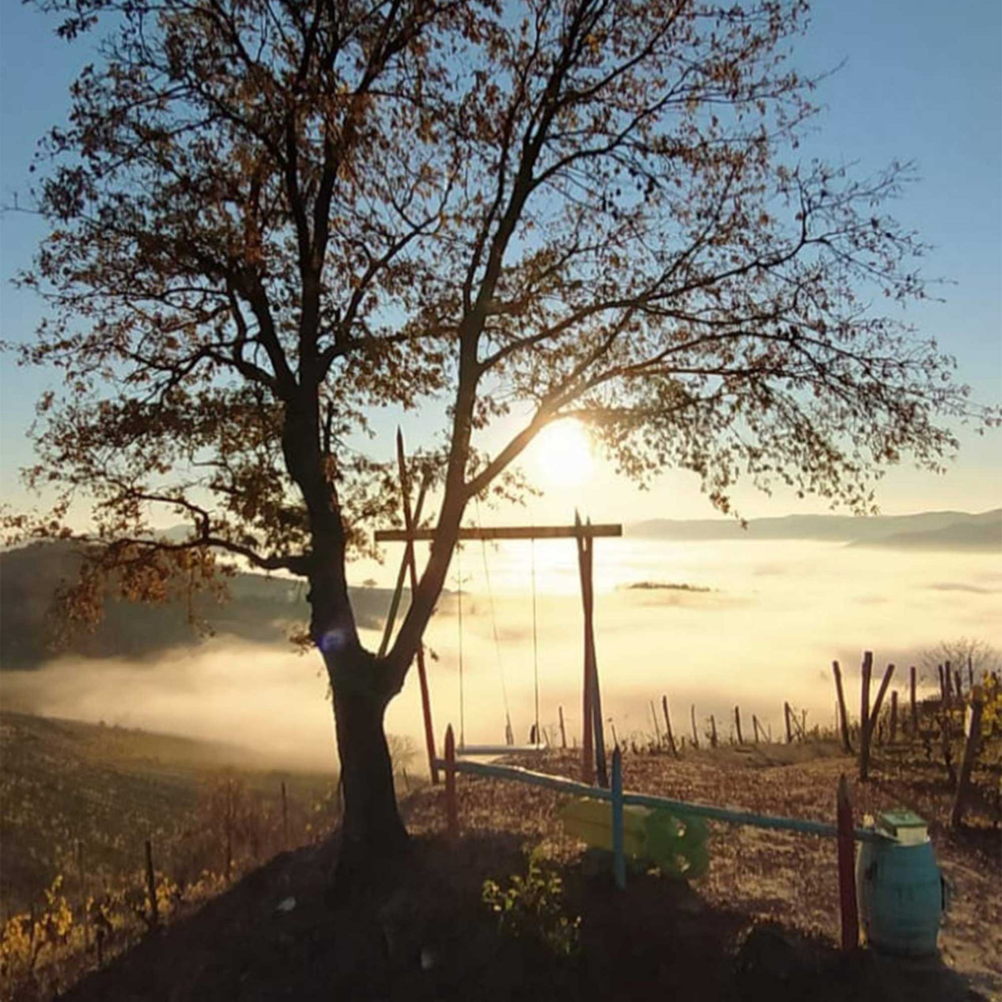 La porta delle Langhe e la Nocciola IGP