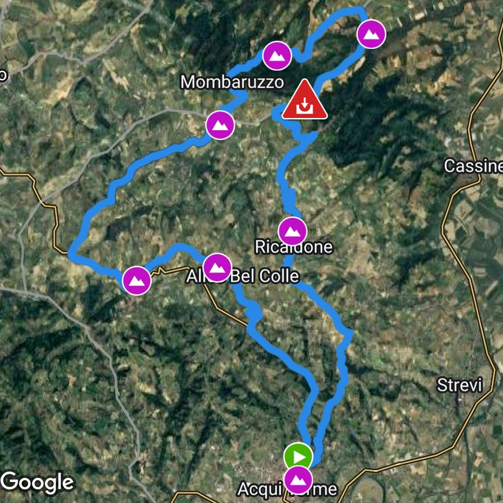 Piemonte-Bike-Explorer_Tour-guidati-in-bici-nelle-langhe-monferrato-roero-piemonte-italia