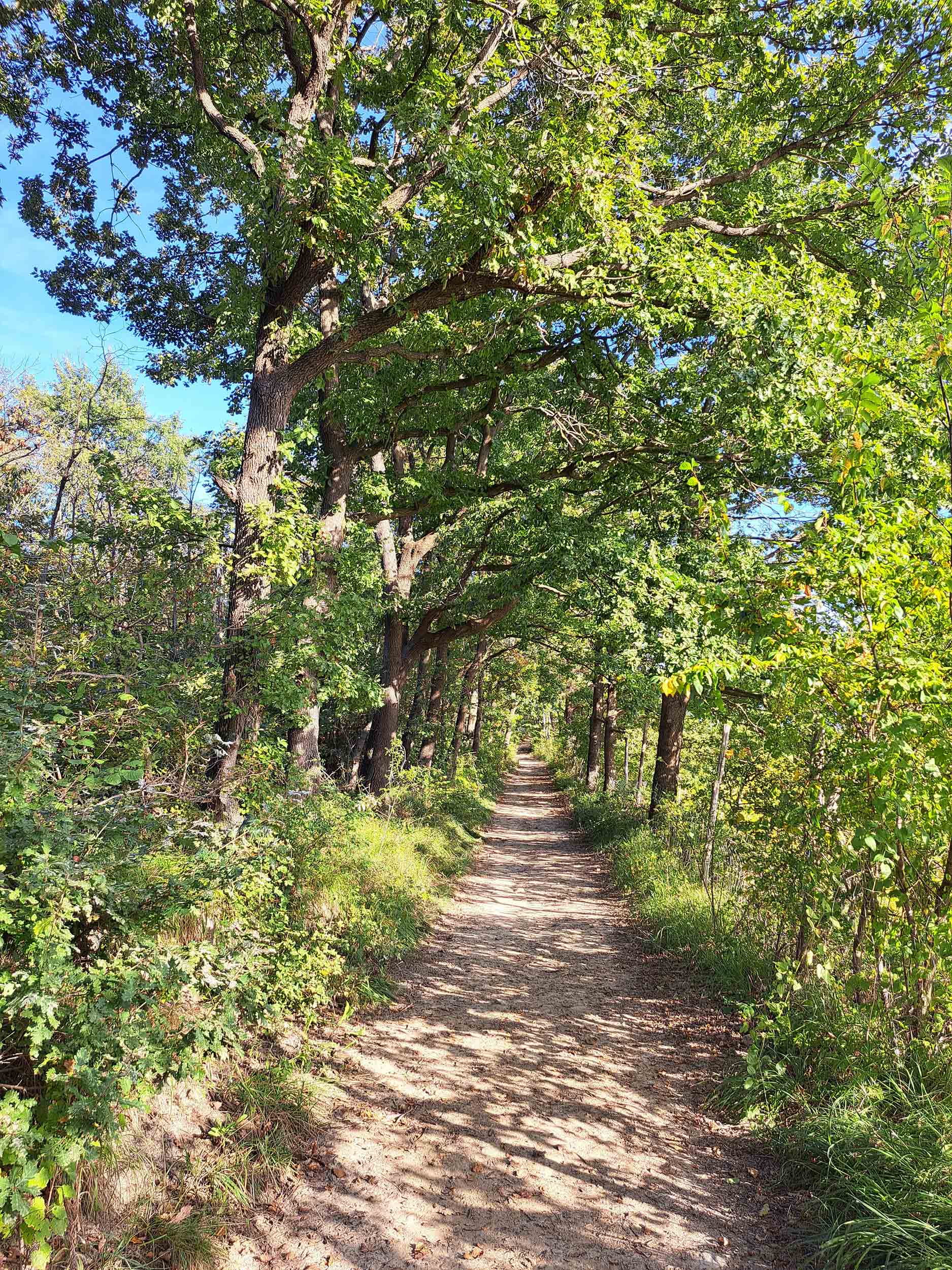 Piemonte-Bike-Explorer_MTB